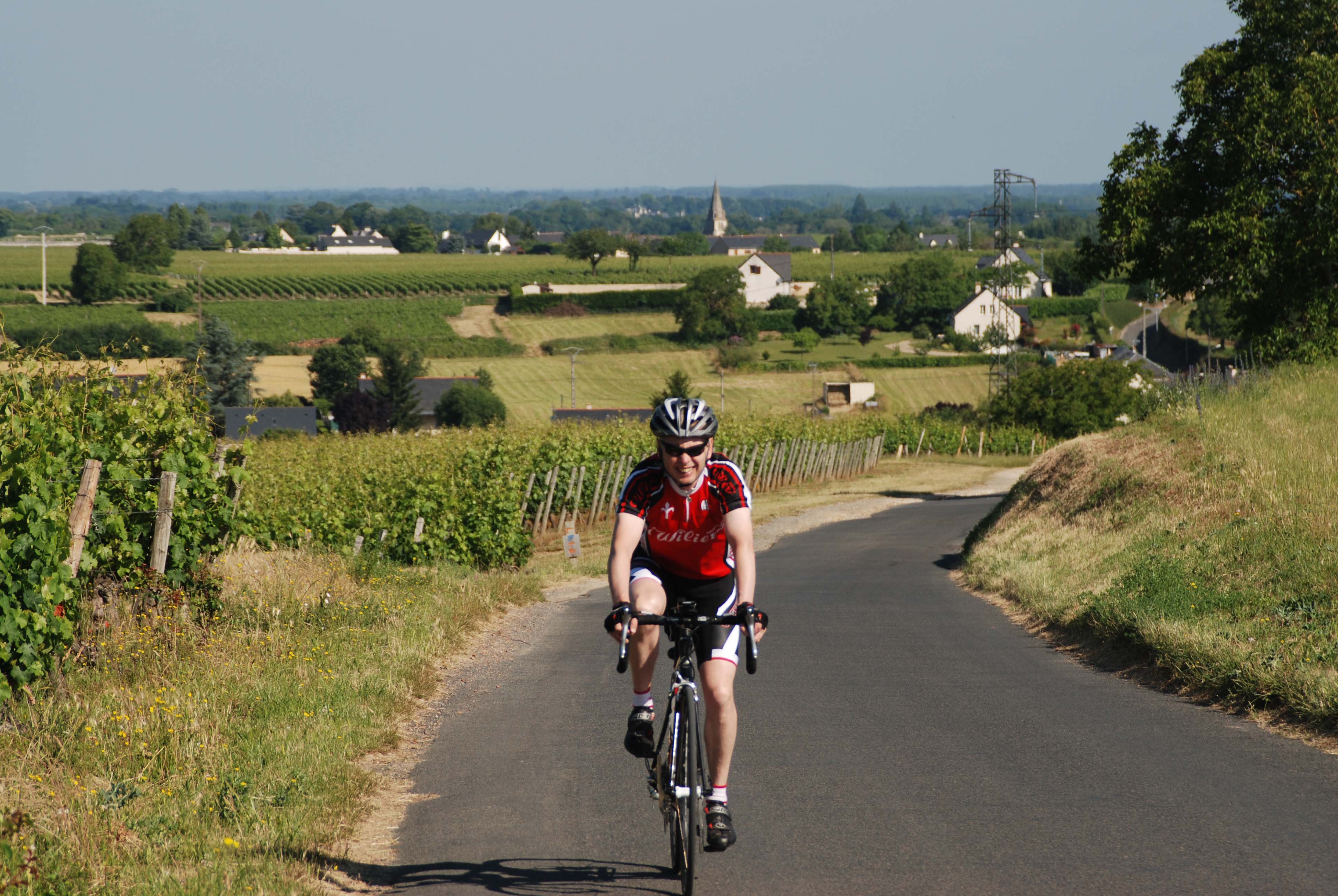 Loire valley vineyards