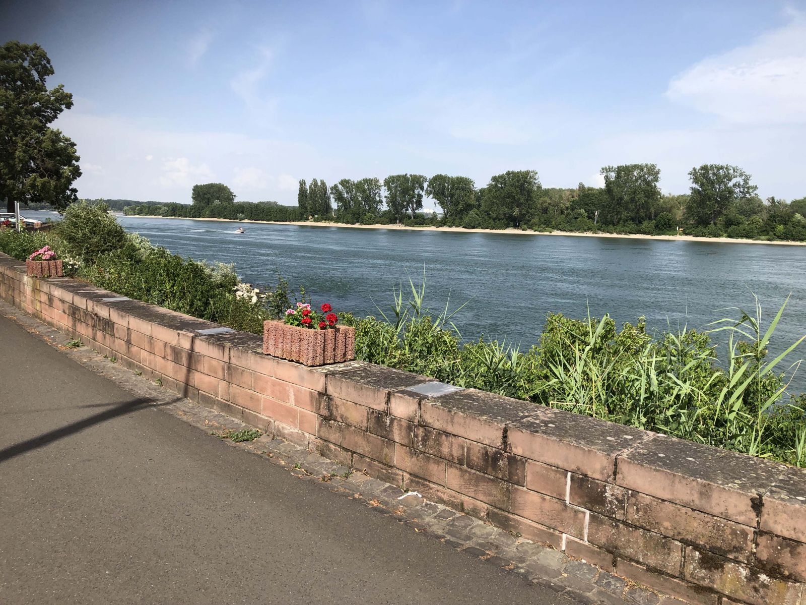 The Rhine near Worms