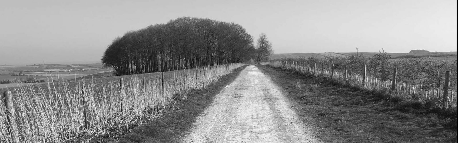 The Ridgeway National Trail Walk The Ridgeway National Trail Walk