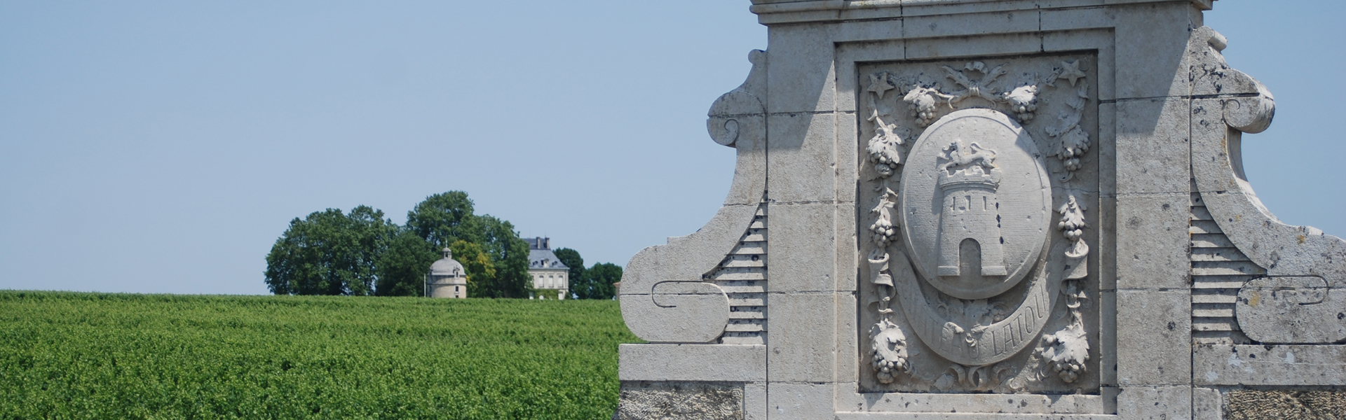 Wine Regions | Regions of France | Green Jersey French Cycling Tours Wine Regions | Regions of France | Green Jersey French Cycling Tours